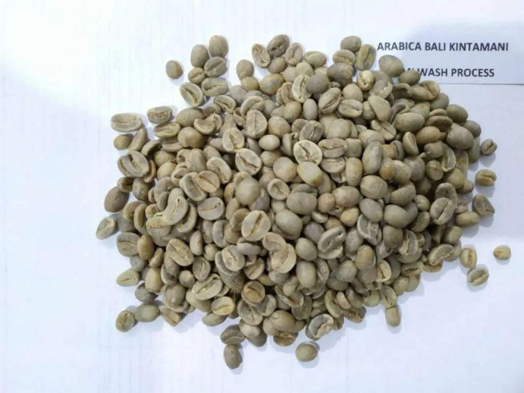 no-brand_green-bean-arabika-bali-kintamani-wash-process-1kg_full01